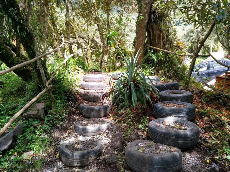 Termas El Pantanal